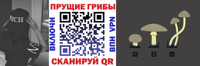 ОМГ ОМГ tor  Донской  Псилоцибиновые грибы ЛСД 